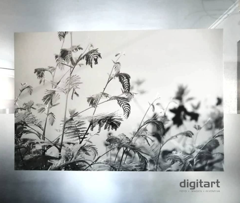 Social 3